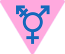 Pink flag with gender symbols.